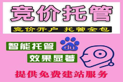 竞价SEM托管策略：助力企业快速成长